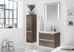 Pelipal Badezimmerspiegel PE 6040 Transparent