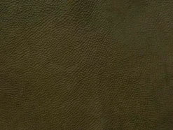 Outlet bert plantagie Bank Maple Moss