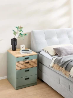 Discount Innostyle Container Glenn Schilfgrün