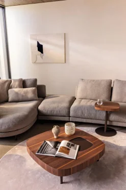 Outlet Rolf Benz Couchtisch 968-231 Braun