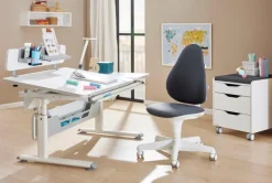 New Paidi Drehstuhl Jooki Grau