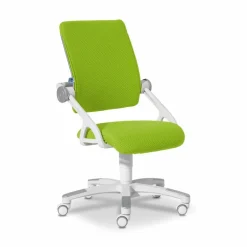 New Paidi Drehstuhl Yvo Lime