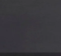 Best blomus Duschabzieher Flit Schwarz