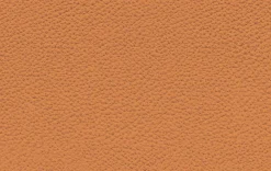 Rolf Benz Ecksofa RB 80 Sina