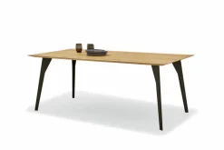 Musterring Esstisch Navarra 200 x 100 cm