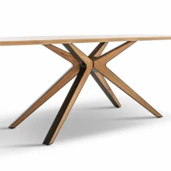 Boegner Esstisch Eschau 220 x 100 cm