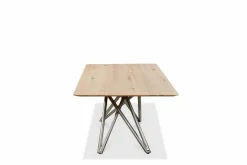 Musterring Esstisch Helmond 220 x 100 cm