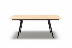 Gutekunst - Die Möbelkollektion Esstisch Orbit 220 x 100 cm