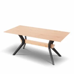 KOINOR Esstisch T1002-1K 220 x 100 cm