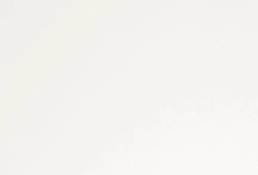 Online Paidi Etagenbett Tiago 120 x 200 cm Weiß