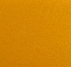 Musterring Freischwinger Nova N1015