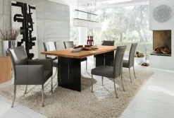 Online Musterring Freischwinger Nova N1014 Grau