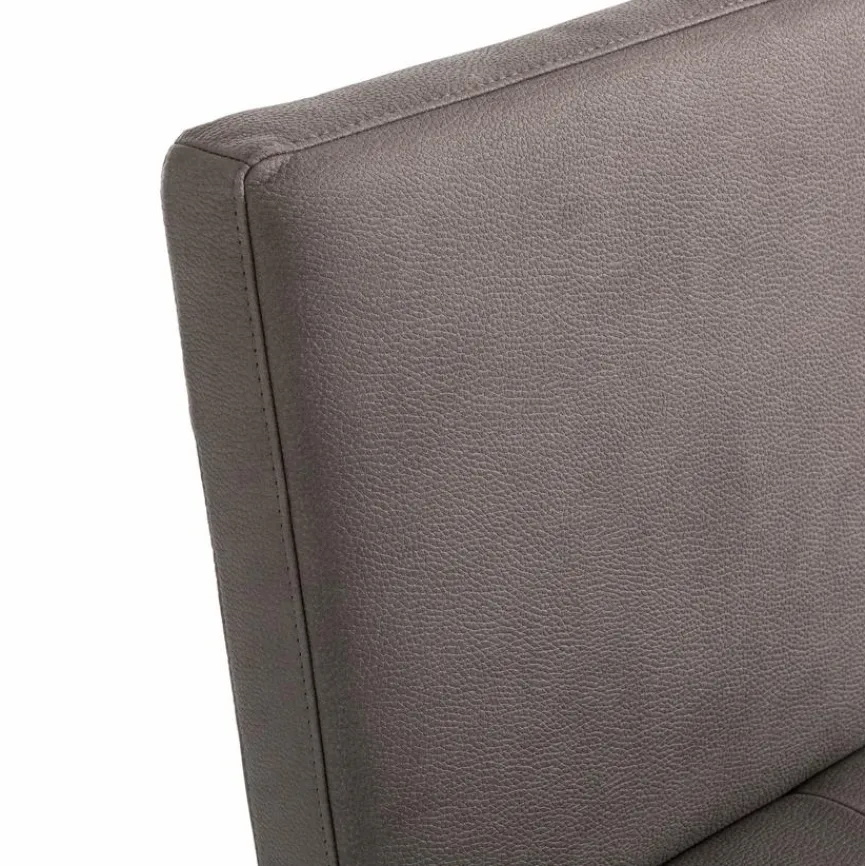 Komfort & Wohnen Freischwinger Spider 7917-1A