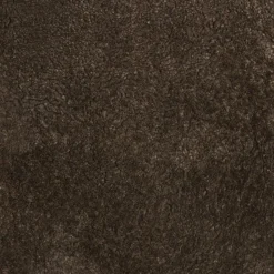 Hot Conform Freischwingersessel Gazell Espresso