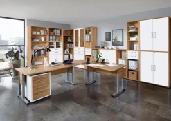 FMD Glastüren-Set Calvia Alteiche