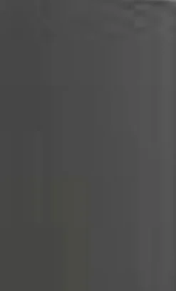 Sale Hochschrank Asiago10 Anthrazit