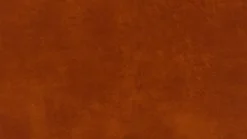 Willi Schillig Kopfstütze 22850 aleXx