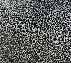 Sale Aquanova Kosmetikdose Ugo Black