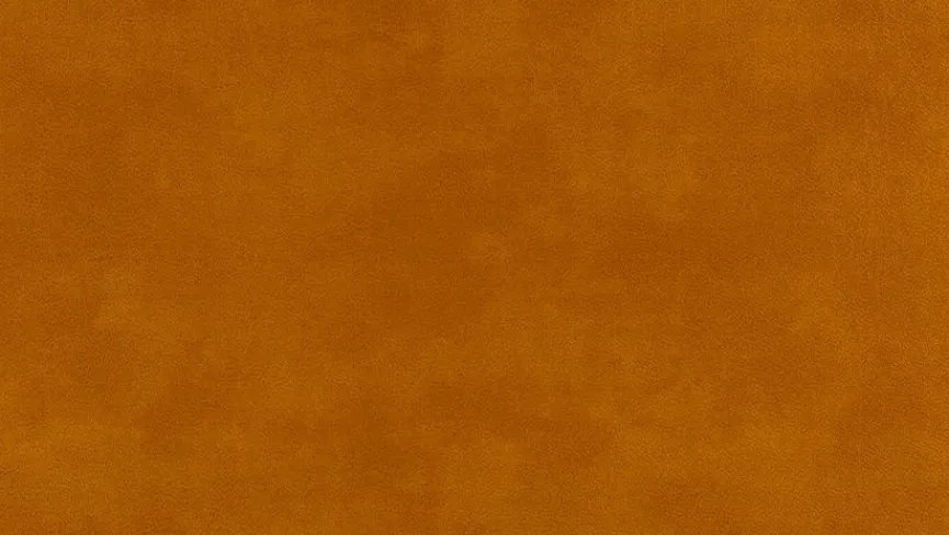 Discount Willi Schillig Liege 47003 daily dreams Brandy