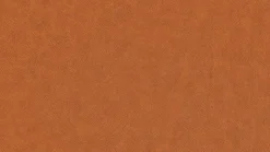 Willi Schillig Liege 47000 daily dreams