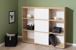 Kinder Paidi Regal Fionn