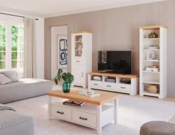 Online Inter Link Regal Maluno Weiß