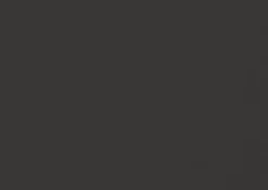 Outlet Regal Nex Pur Regal Graphit