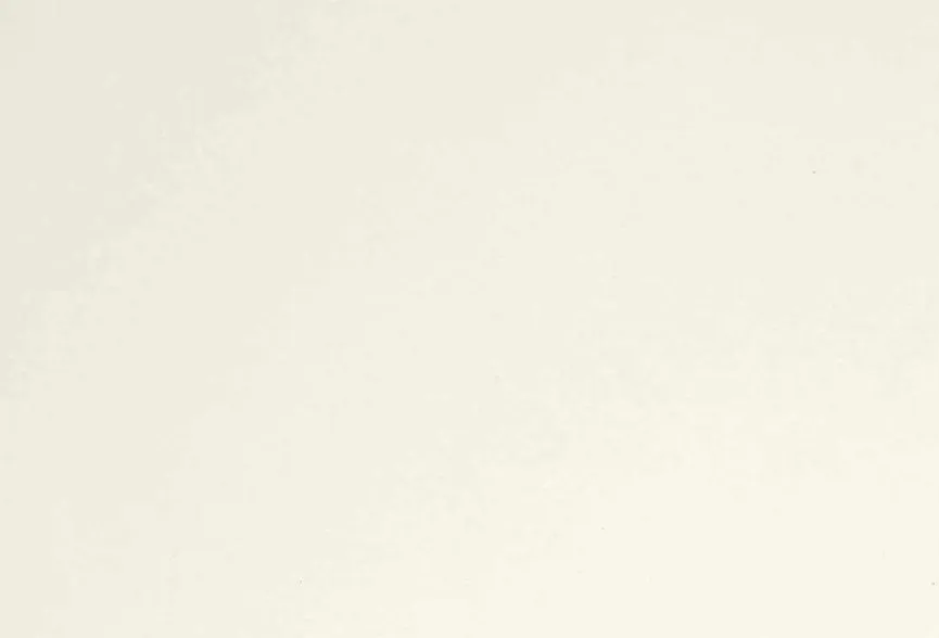 Kinder Paidi Rollcontainer