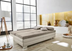 Sale Schlafsofa Lincoln Greige / Greige