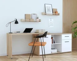 FORTE Schreibtisch Aliklia