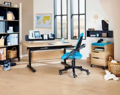 New Paidi Schreibtisch Diego Eiche-Nebraska