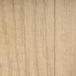 Kinder Paidi Schreibtisch Diego