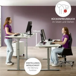 Online Innostyle Schreibtisch elektrisch Santorin Weiß / Silber