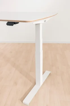 Kinder Paidi Schreibtisch e-lion 1