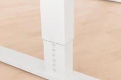 Outlet Paidi Schreibtisch Teenio 120 Rose