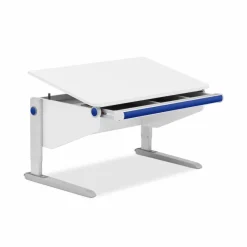 Kinder Moll Schreibtisch Winner Comfort