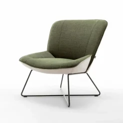 Online Rolf Benz Sessel 383 Grün