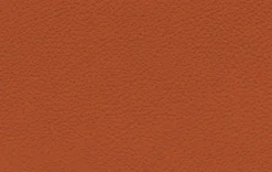 Rolf Benz Sessel 582 Meg Rot