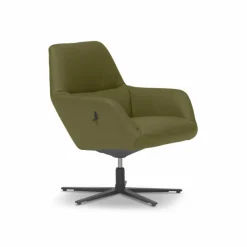 Best himolla Sessel Eltmann Minze