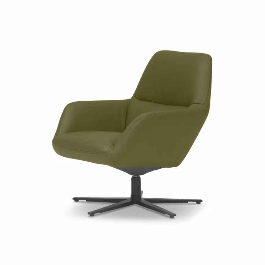 Best himolla Sessel Eltmann Minze