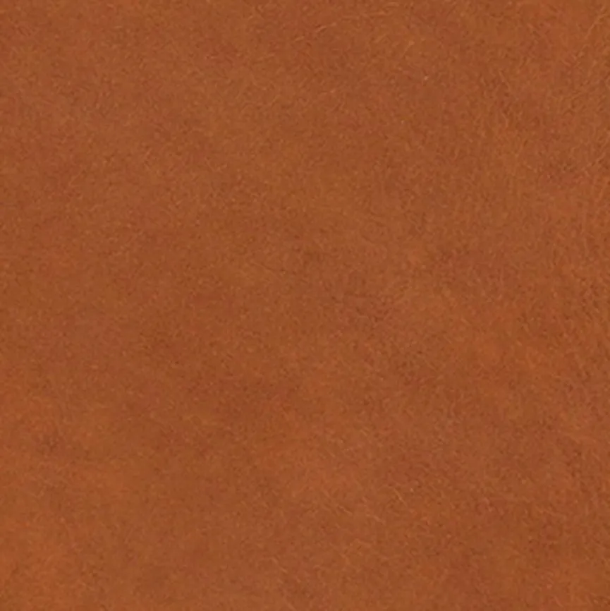 Sale himolla Sessel Finning Bright