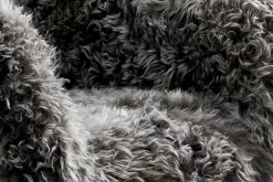 Online tommy m Sessel Lola Grey