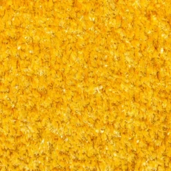 Clearance Sormani Sessel Matera Mais