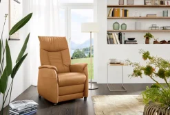 New himolla Sessel Nittenau Gobi