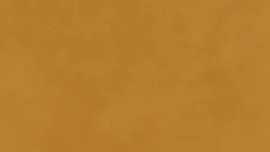 Clearance Willi Schillig Sofa 16777 broadway Kurkuma