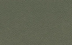 New Rolf Benz Sofa 510 Mioko Grüngrau