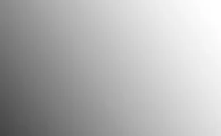 Germania Spiegel Universal