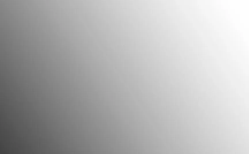 Germania Spiegel Universal