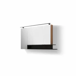 Puris Spiegelschrank c!puro