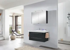 Spiegeltürenschrank OPTIbasic 4000 Anthrazit